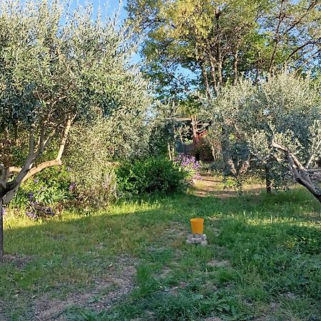 Studio 25M2 Avec Piscine Et Spa, Proche Iter Et Cadarache Daire Valensole Dış mekan fotoğraf